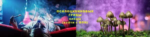 стаф Алексин