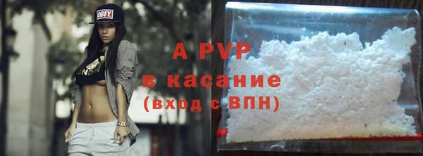 стаф Алексин