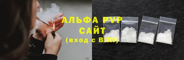 стаф Алексин
