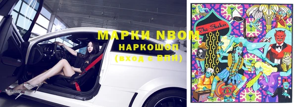 стаф Алексин