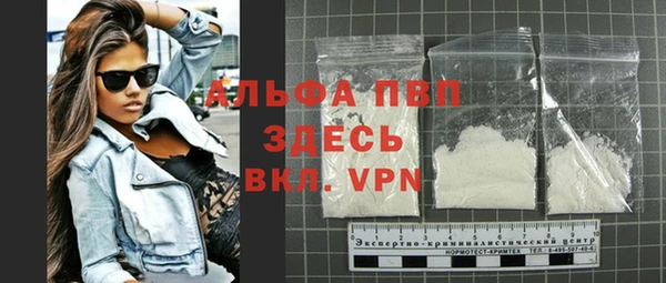 стаф Алексин