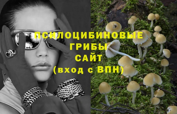 молекула духа Алексеевка